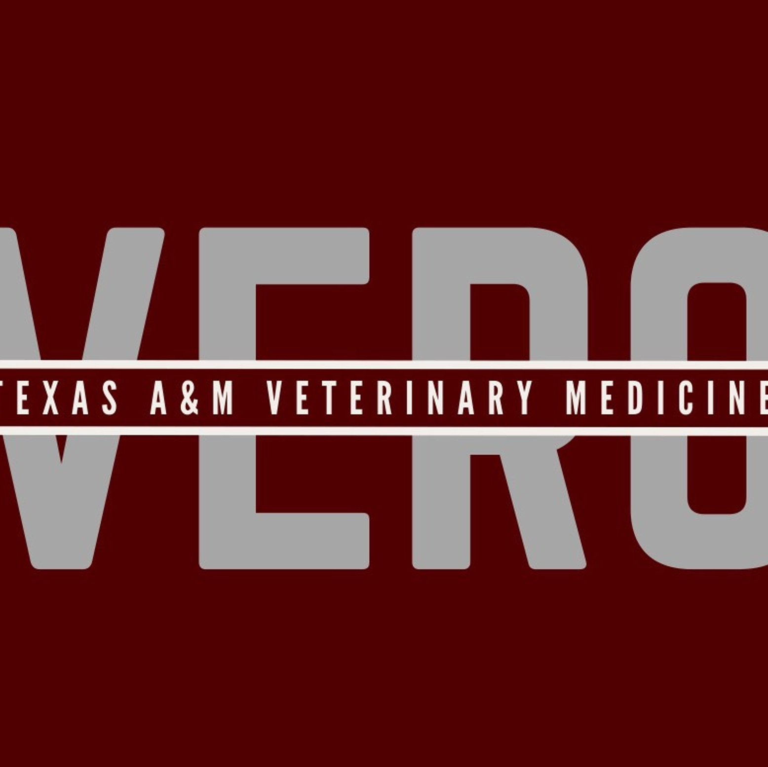 VERO Veterinary Students