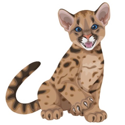 Carmelo Parent Organization