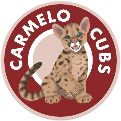 Carmelo Car Magnet item