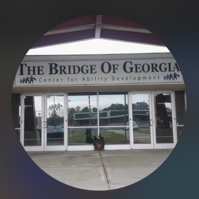TBoG Tigers FOR The Bridge of Georgia School item