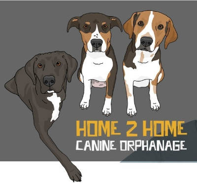 Home 2 Home Canine Orphanage