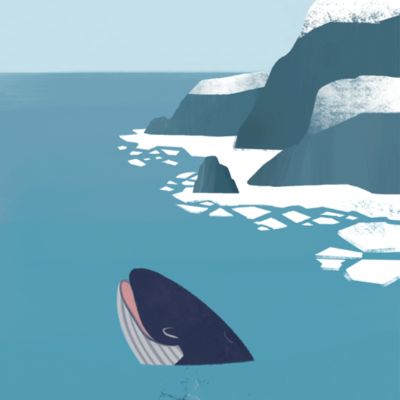 "Fjord Snow" customized card item