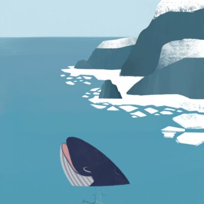 "Fjord Snow" card item