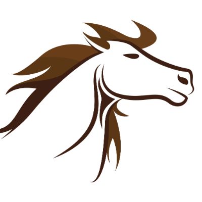 Trotting Home Equine Rescue Inc
