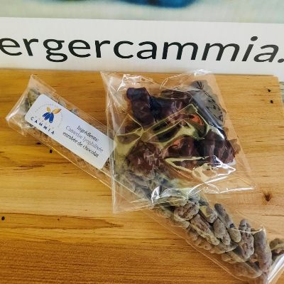 Duo de camerises chocolatées item