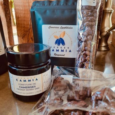 Quatuor de Camerises item