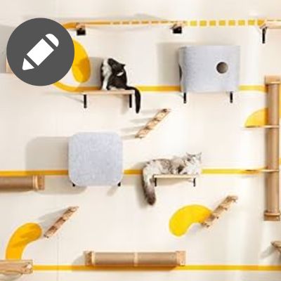 Espace chats à votre image item