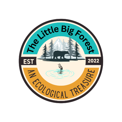 Stoddard Conservation Commission / The Little Big Forest