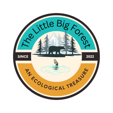 Stoddard Conservation Commission / The Little Big Forest