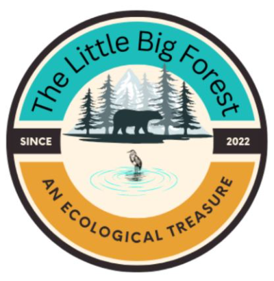 Stoddard Conservation Commission / The Little Big Forest