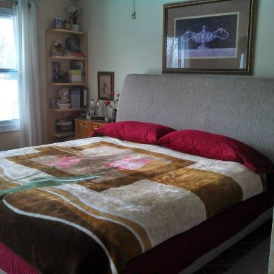 Frogtown Stray Cat Project