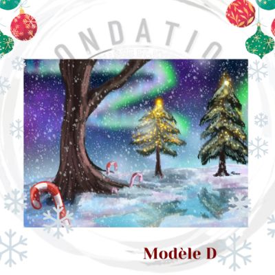 Option 9 -  Ensemble  "Le paquet D" item