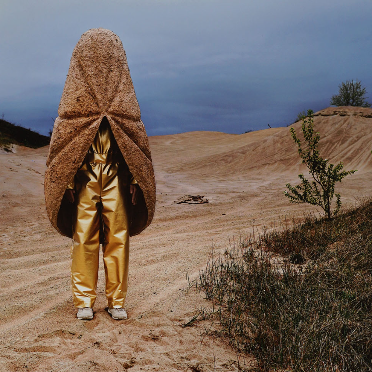 4 billets œuvre Guillaume Brisson-Darveau item