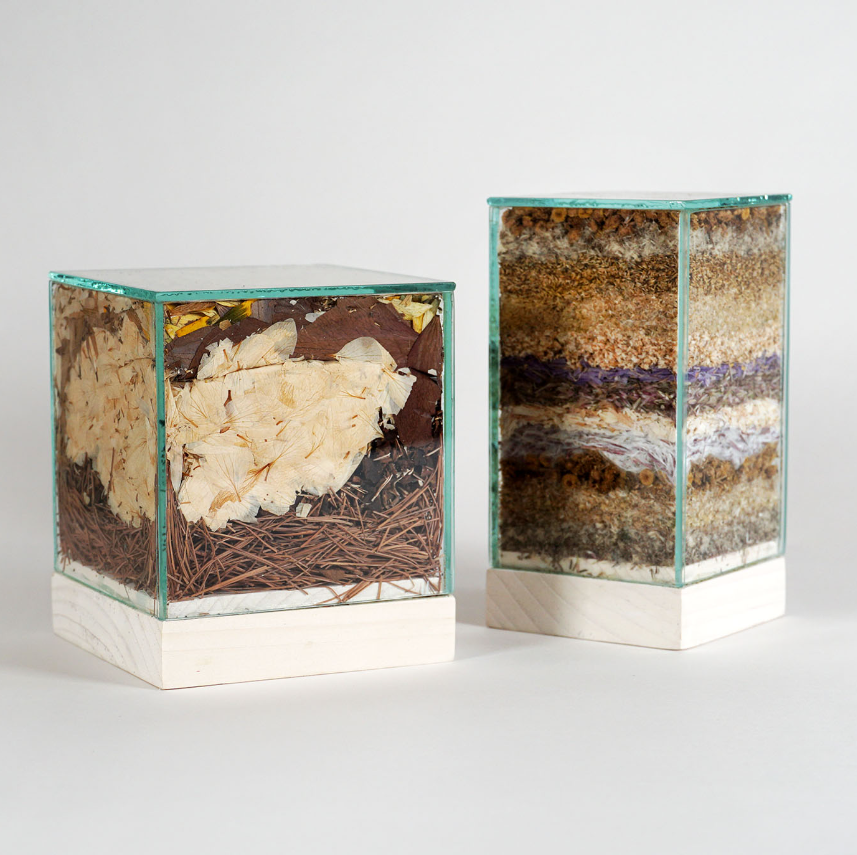 4 billets œuvre Geneviève Baril item