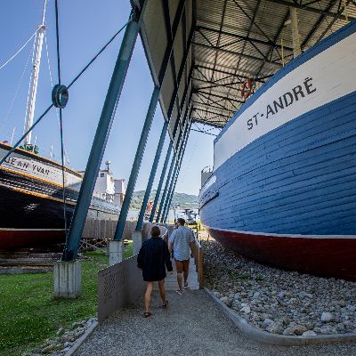 65 years and over Ticket item