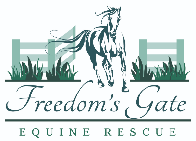 Freedom's Gate Equine Rescue
