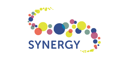 Synergy Youth and Community Development Society