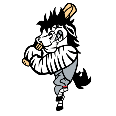 Rochester Youth Baseball League