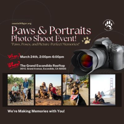 Paws & Portraits Picture! item