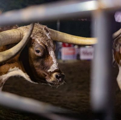 Stock Contractor Sponsor item