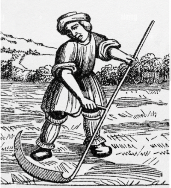 Catholic Land Movement