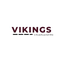 Danville Vikings Cheer