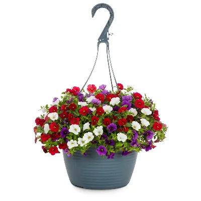 10" Hanging Basket Voucher item