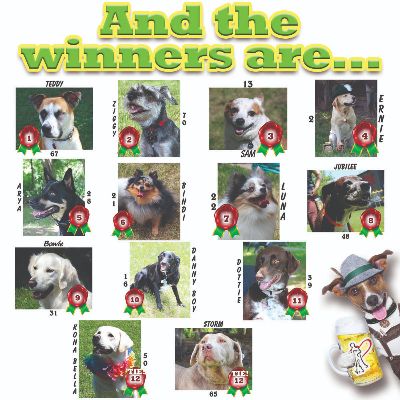 Brewery Dogs of Menomonie Calendar item