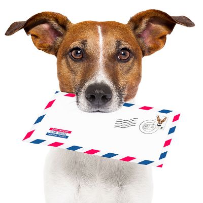 Shipping & Handling (optional) - one calendar item