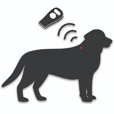Dog Microchip item