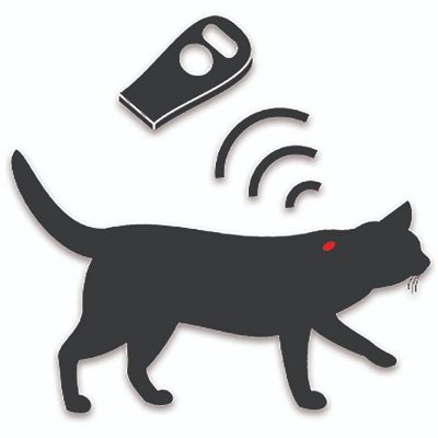 Cat Microchip item