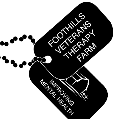 Fellowship Beyond Valor