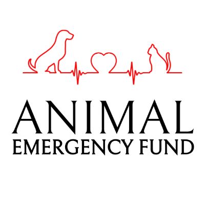 Animal Emergency Fund