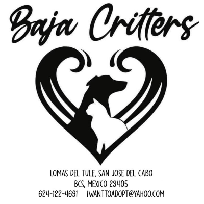Baja Critters