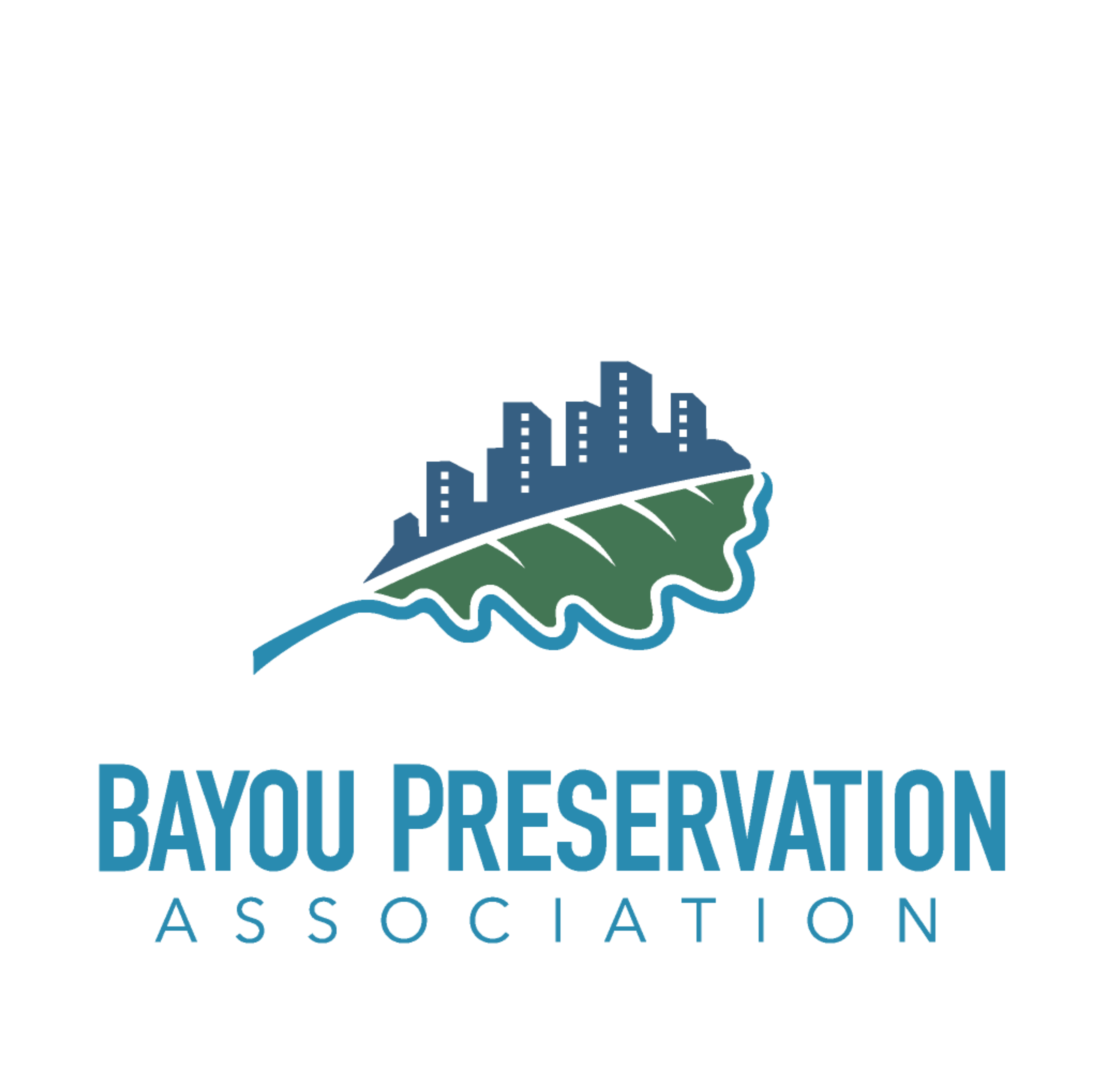 Bayou Preservation Association