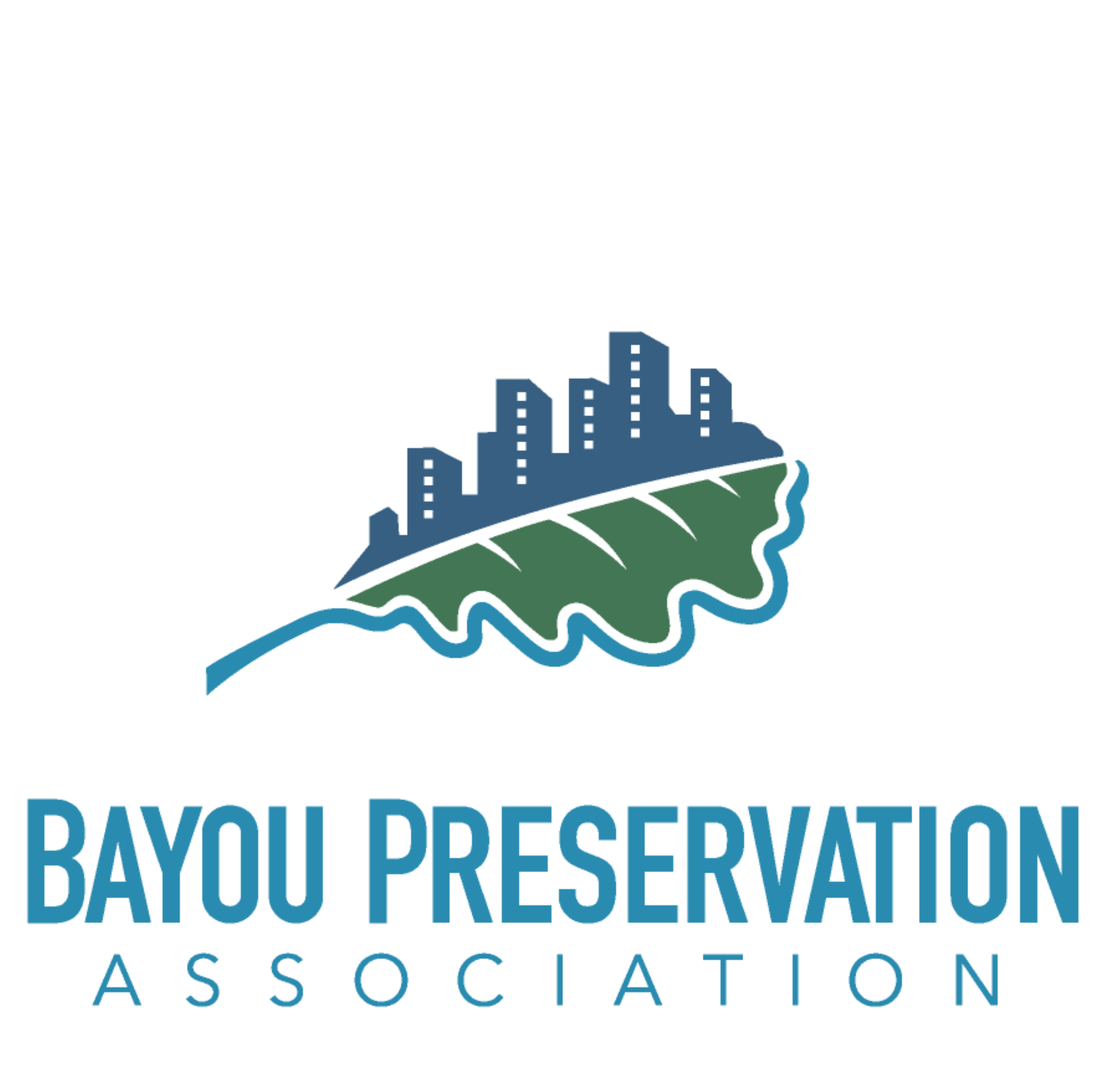 Bayou Preservation Association