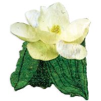 Limited Magnolia Print item