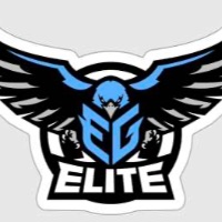 EG Eagle sticker item