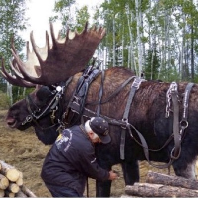 Men of Tyre - Widows Sons