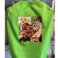Small T-shirt item