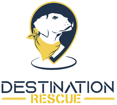 Destination Rescue