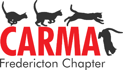 CARMA Fredericton