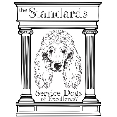 The Standards LLC