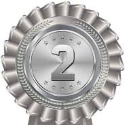 Silver level item