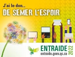 Ministère de l'Emploi et de la Solidarité sociale