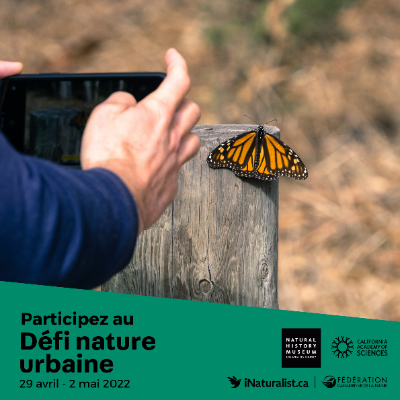 UrbaNature Éducation