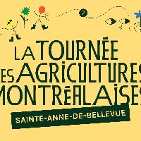 Excursion Sainte-Anne-de-Bellevue (9 septembre 2023) item