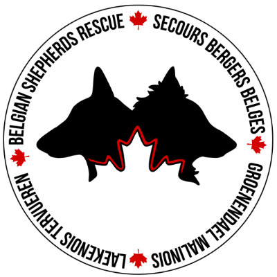 Belgian Shepherds Rescue Canada / Secours Berger Belge Canada