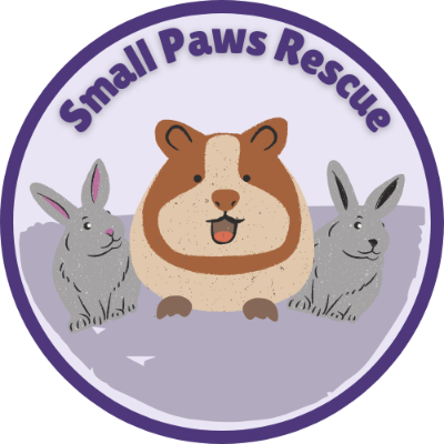 Small Paws Rescue 