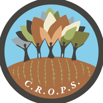 Communities Revolutionizing Open Public Spaces